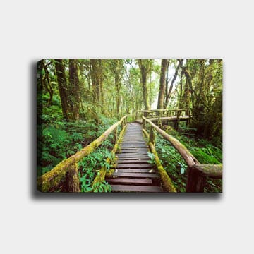 Lerretsbilde 70x100 cm - Vakker trebro som slynger seg gjennom en frodig regnskog - Grønn / Brun / Gulgrønn - Interiør - Maleri & posters - Lerretsbilder