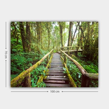 Lerretsbilde 70x100 cm - Vakker trebro som slynger seg gjennom en frodig regnskog - Grønn / Brun / Gulgrønn - Interiør - Maleri & posters - Lerretsbilder