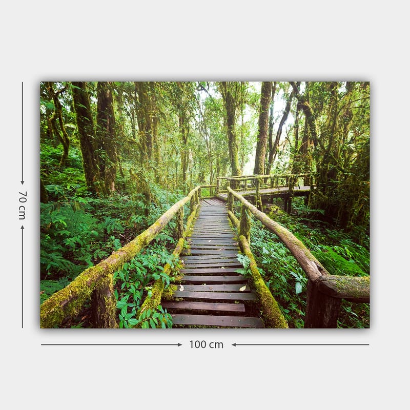 Lerretsbilde 70x100 cm - Vakker trebro som slynger seg gjennom en frodig regnskog - Grønn / Brun / Gulgrønn - Interiør - Maleri & posters - Lerretsbilder