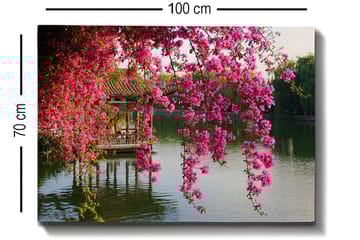 Lerretsbilde 70x100 cm - Vakker utsikt over blomstrende bougainvillea som henger over en rolig innsjø og en tradisjonell paviljong i bakgrunnen - Rosa / Grønn / Blågrå - Interiør - Maleri & posters - Lerretsbilder