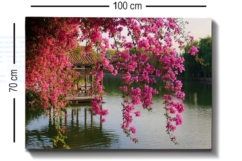 Lerretsbilde 70x100 cm - Vakker utsikt over blomstrende bougainvillea som henger over en rolig innsjø og en tradisjonell paviljong i bakgrunnen - Rosa / Grønn / Blågrå - Interiør - Maleri & posters - Lerretsbilder