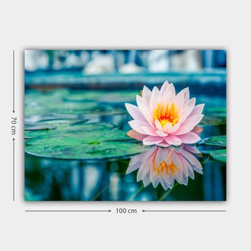 Lerretsbilde 70x100 cm - Vakker vannlilje som flyter på en rolig innsjø med grønne vannliljeblader - Rosa / Grønn / Gul - Interiør - Maleri & posters - Lerretsbilder