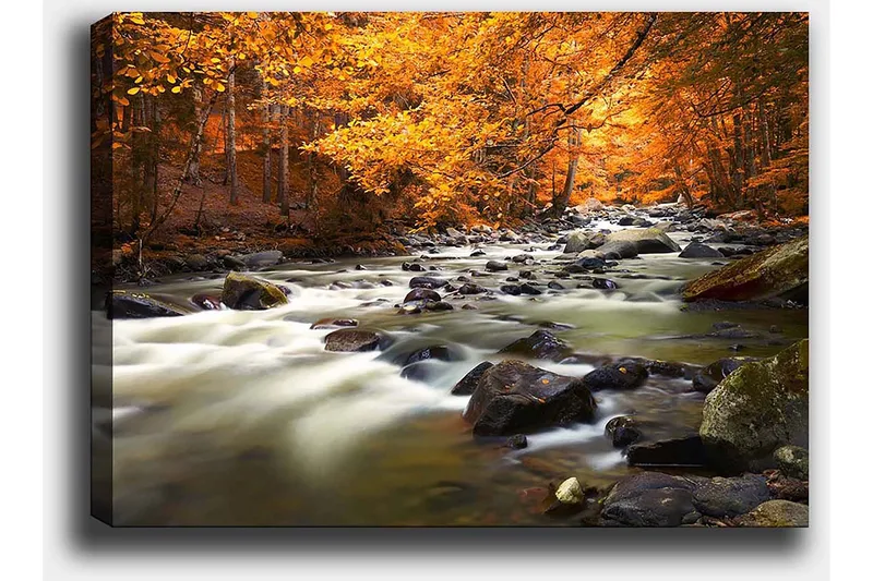 Lerretsbilde 70x100 cm - Vakkert høstlandskap med en rislende bekk omgitt av gyllent og oransje løvverk - Gyllen / Oransje / Grønn - Interiør - Maleri & posters - Lerretsbilder