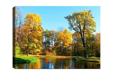 Lerretsbilde 70x100 cm - Vakkert høstlandskap med fargerike trær og en speilblank innsjø - Gyllen gul / Grønn / Blå - Interiør - Maleri & posters - Lerretsbilder