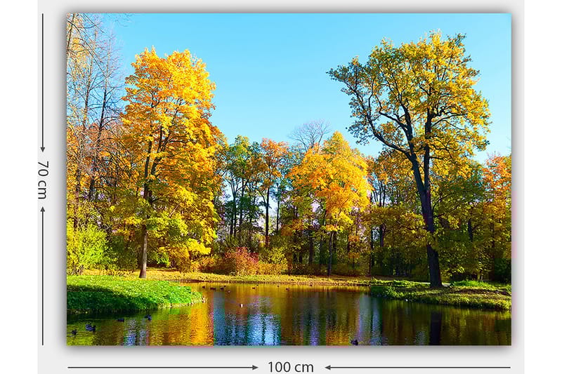 Lerretsbilde 70x100 cm - Vakkert høstlandskap med fargerike trær og en speilblank innsjø - Gyllen gul / Grønn / Blå - Interiør - Maleri & posters - Lerretsbilder