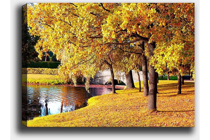 Lerretsbilde 70x100 cm - Vakkert høstmotiv med gylne trær som speiler seg i en stille innsjø - Gull / Grønn / Brun - Interiør - Maleri & posters - Lerretsbilder