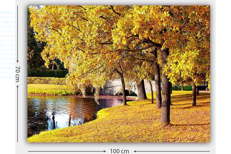 Lerretsbilde 70x100 cm - Vakkert høstmotiv med gylne trær som speiler seg i en stille innsjø - Gull / Grønn / Brun - Interiør - Maleri & posters - Lerretsbilder