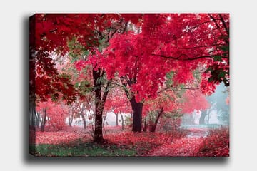 Lerretsbilde 70x100 cm - Vakkert høstmotiv med røde og oransje blader som dekker trærne og bakken - Rød / Oransje / Grønn - Interiør - Maleri & posters - Lerretsbilder