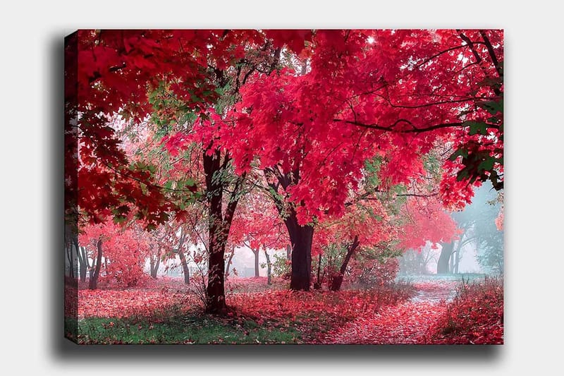 Lerretsbilde 70x100 cm - Vakkert høstmotiv med røde og oransje blader som dekker trærne og bakken, Rød / Oransje / Grønn