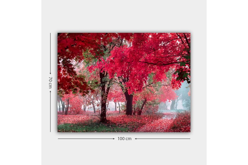 Lerretsbilde 70x100 cm - Vakkert høstmotiv med røde og oransje blader som dekker trærne og bakken - Rød / Oransje / Grønn - Interiør - Maleri & posters - Lerretsbilder