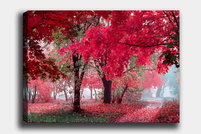 Lerretsbilde 70x100 cm - Vakkert høstmotiv med røde og oransje blader som dekker trærne og bakken, Rød / Oransje / Grønn