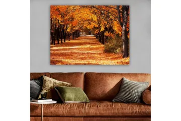 Lerretsbilde 70x100 cm - Vakkert høstmotiv med trær i sterke oransje og gule nyanser som skaper en innbydende gangvei dekket av falne blader - Oransje / Gul / Brun - Interiør - Maleri & posters - Lerretsbilder