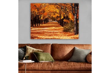 Lerretsbilde 70x100 cm - Vakkert høstmotiv med trær i sterke oransje og gule nyanser som skaper en innbydende gangvei dekket av falne blader - Oransje / Gul / Brun - Interiør - Maleri & posters - Lerretsbilder