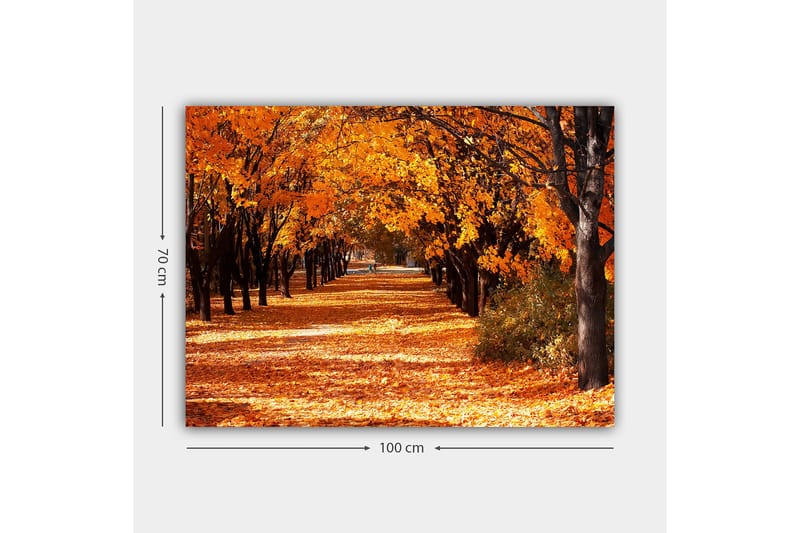Lerretsbilde 70x100 cm - Vakkert høstmotiv med trær i sterke oransje og gule nyanser som skaper en innbydende gangvei dekket av falne blader - Oransje / Gul / Brun - Interiør - Maleri & posters - Lerretsbilder