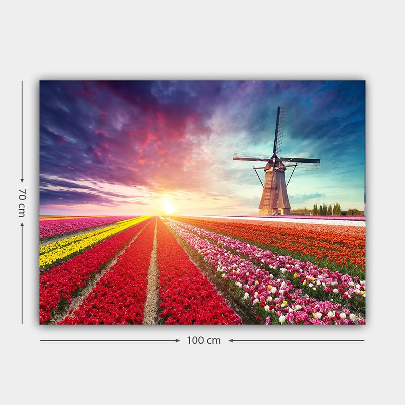 Lerretsbilde 70x100 cm - Vakkert landskapsmaleri med tulipanåkre i forskjellige farger og en vindmølle i bakgrunnen - Rød / Lilla / Gul - Interiør - Maleri & posters - Lerretsbilder