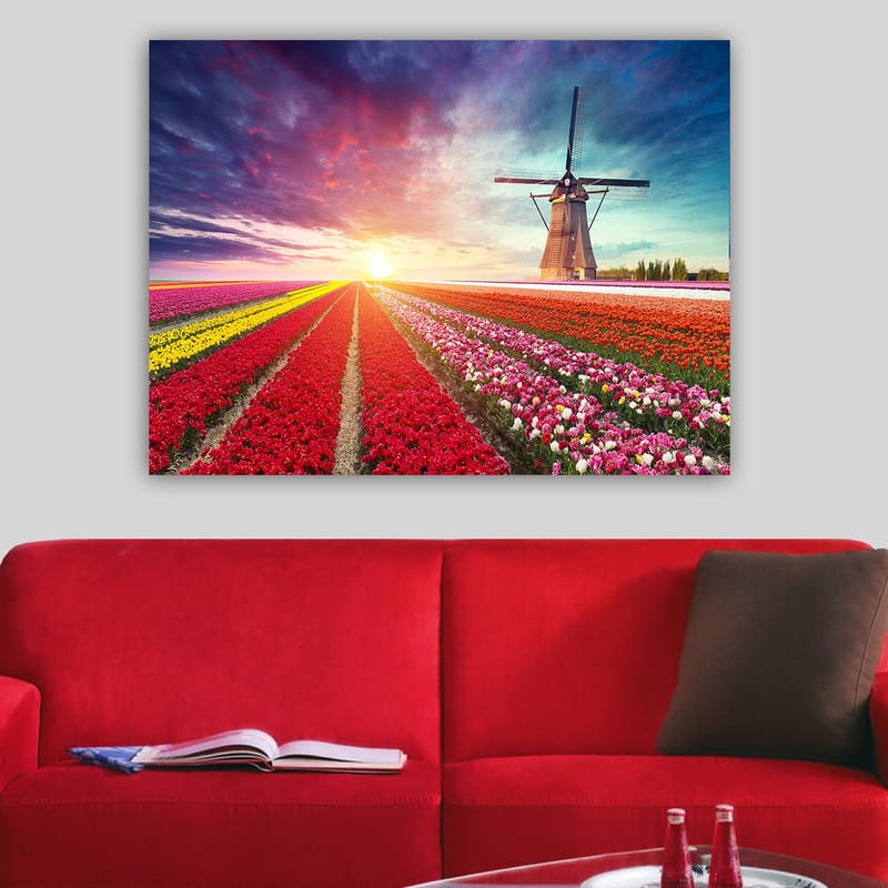 Lerretsbilde 70x100 cm - Vakkert landskapsmaleri med tulipanåkre i forskjellige farger og en vindmølle i bakgrunnen - Rød / Lilla / Gul - Interiør - Maleri & posters - Lerretsbilder