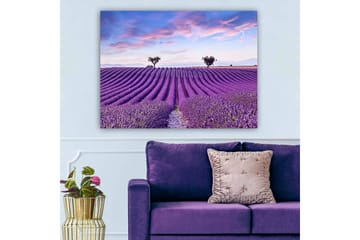 Lerretsbilde 70x100 cm - Vakkert lavendelfelt med myke, bølgete rader av lavendelblomster under en klar himmel - Lilla / Grønn / Blå - Interiør - Maleri & posters - Lerretsbilder