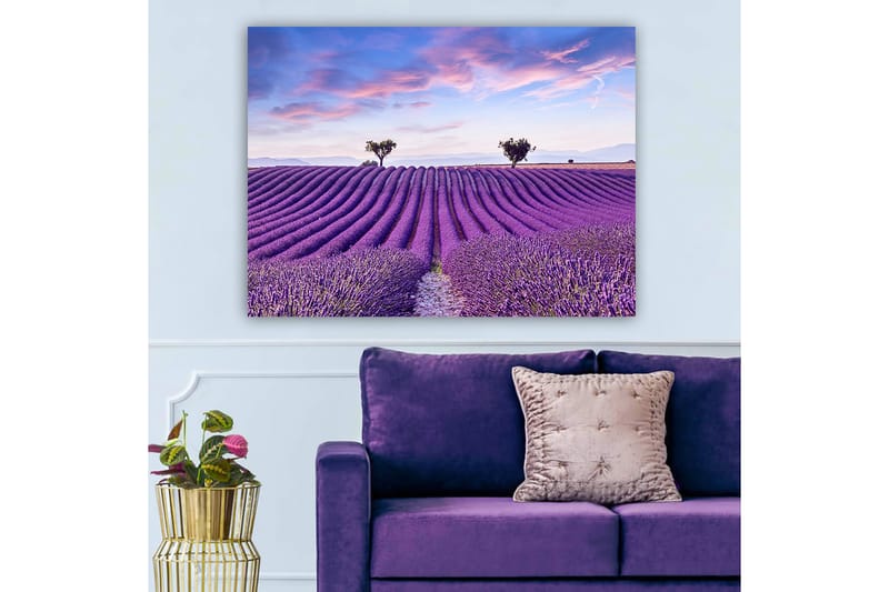 Lerretsbilde 70x100 cm - Vakkert lavendelfelt med myke, bølgete rader av lavendelblomster under en klar himmel - Lilla / Grønn / Blå - Interiør - Maleri & posters - Lerretsbilder
