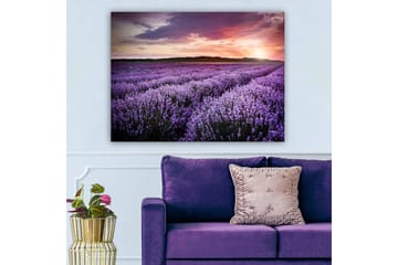 Lerretsbilde 70x100 cm - Vakkert lavendelfelt under en fargerik solnedgang - Lilla / Mørkegrønn / Oransje - Interiør - Maleri & posters - Lerretsbilder