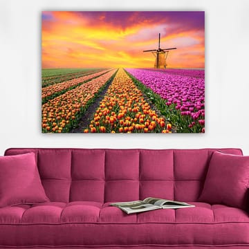 Lerretsbilde 70x100 cm - Vakkert tulipanfelt med en tradisjonell vindmølle i solnedgangens lys - Lilla / Oransje / Grønn - Interiør - Maleri & posters - Lerretsbilder