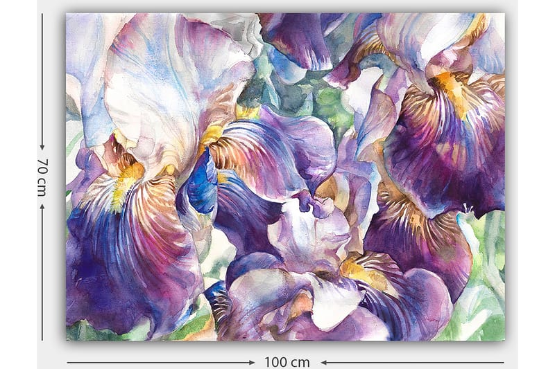 Lerretsbilde 70x100 cm - Vakre irisblomster i en fargerik komposisjon - Lilla / Hvit / Gul - Interiør - Maleri & posters - Lerretsbilder