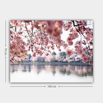 Lerretsbilde 70x100 cm - Vakre kirsebærblomster som flyter over en speilblank innsjø - Lys rosa / Mørk rosa / Grønn - Interiør - Maleri & posters - Lerretsbilder