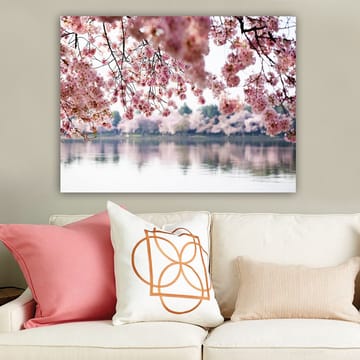 Lerretsbilde 70x100 cm - Vakre kirsebærblomster som flyter over en speilblank innsjø - Lys rosa / Mørk rosa / Grønn - Interiør - Maleri & posters - Lerretsbilder