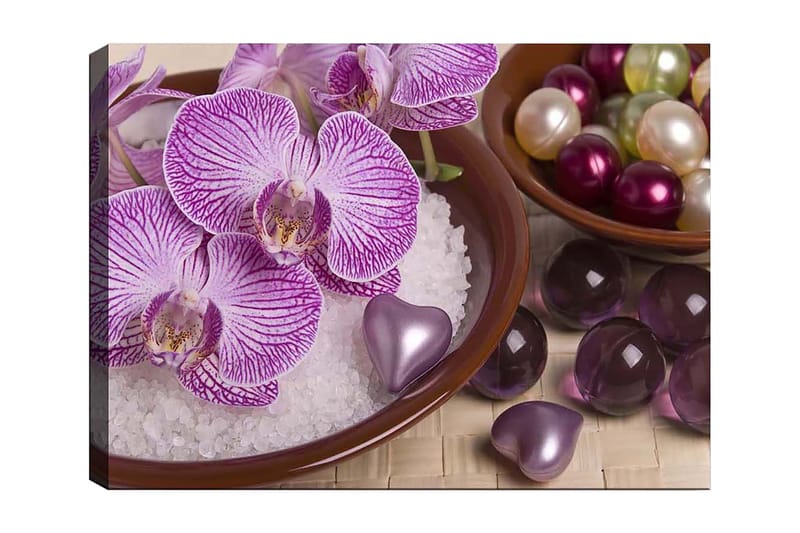 Lerretsbilde 70x100 cm - Vakre orkideer i en bolle med dekorative elementer, Lilla / Hvit / Rosa