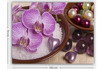 Lerretsbilde 70x100 cm - Vakre orkideer i en bolle med dekorative elementer - Lilla / Hvit / Rosa - Interiør - Maleri & posters - Lerretsbilder