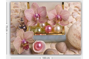 Lerretsbilde 70x100 cm - Vakre orkideer og perler i en elegant eske - Lys rosa / Grønn / Perlehvit - Interiør - Maleri & posters - Lerretsbilder