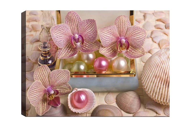 Lerretsbilde 70x100 cm - Vakre orkideer og perler i en elegant eske, Lys rosa / Grønn / Perlehvit