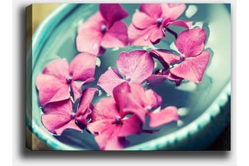 Lerretsbilde 70x100 cm - Vakre rosa blomster som flyter i en turkis bolle - Rosa / Turkis - Interiør - Maleri & posters - Lerretsbilder