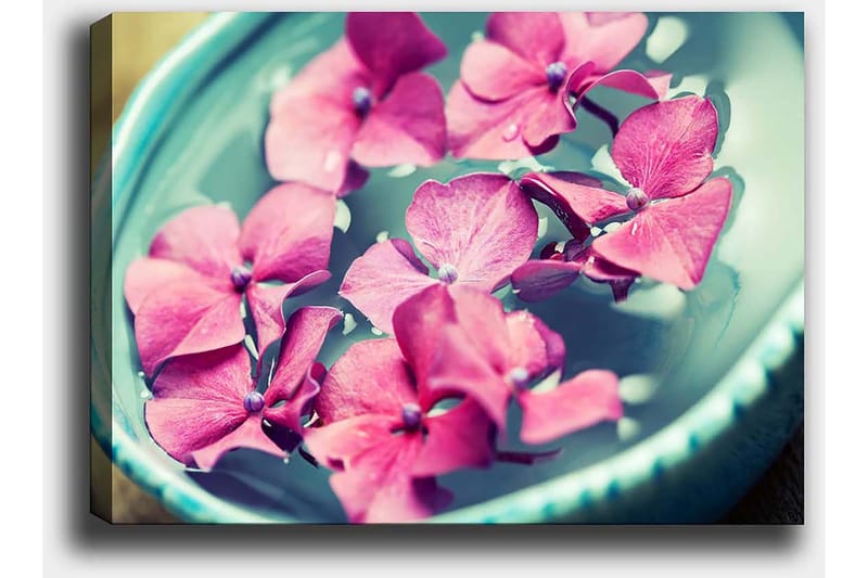 Lerretsbilde 70x100 cm - Vakre rosa blomster som flyter i en turkis bolle - Rosa / Turkis - Interiør - Maleri & posters - Lerretsbilder