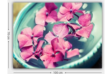 Lerretsbilde 70x100 cm - Vakre rosa blomster som flyter i en turkis bolle - Rosa / Turkis - Interiør - Maleri & posters - Lerretsbilder