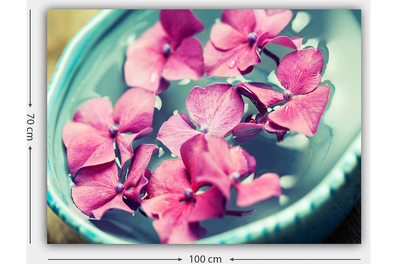Lerretsbilde 70x100 cm - Vakre rosa blomster som flyter i en turkis bolle - Rosa / Turkis - Interiør - Maleri & posters - Lerretsbilder