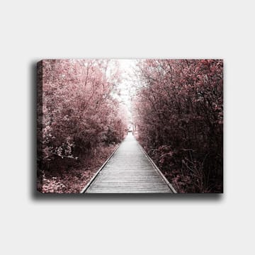 Lerretsbilde 70x100 cm - Vei som fører gjennom en skog av rosa trær - Rosa / Grå - Interiør - Maleri & posters - Lerretsbilder