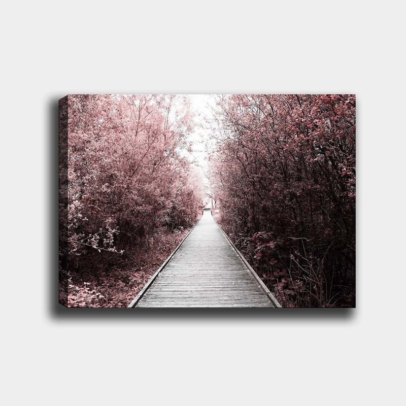 Lerretsbilde 70x100 cm - Vei som fører gjennom en skog av rosa trær, Rosa / Grå