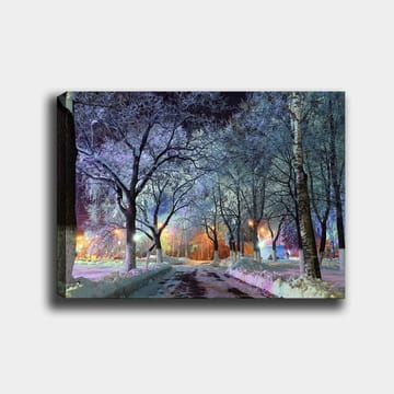 Lerretsbilde 70x100 cm - Vinterlandskap med snødekte trær og en opplyst vei som skaper en magisk atmosfære - Blå / Hvit / Oransje - Interiør - Maleri & posters - Lerretsbilder