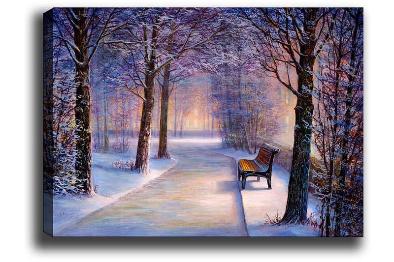 Lerretsbilde 70x100 cm - Vintertur med snødekte trær og en ensom benk langs en sti - Blå / Hvit / Grå - Interiør - Maleri & posters - Lerretsbilder