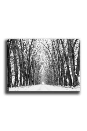Lerretsbilde 70x100 cm - Vintervei omgitt av nakne trær som skaper en stemningsfull og fredelig atmosfære - Svart / Hvit / Grå - Interiør - Maleri & posters - Lerretsbilder
