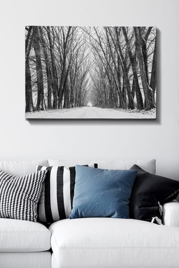 Lerretsbilde 70x100 cm - Vintervei omgitt av nakne trær som skaper en stemningsfull og fredelig atmosfære - Svart / Hvit / Grå - Interiør - Maleri & posters - Lerretsbilder