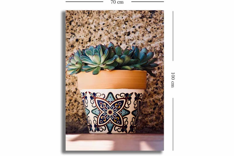 Lerretsbilde 70x100 cm - Potte med sukkulenter i dekorativt design - Grønn / Terrakotta / Svart - Interiør - Maleri & posters - Lerretsbilder