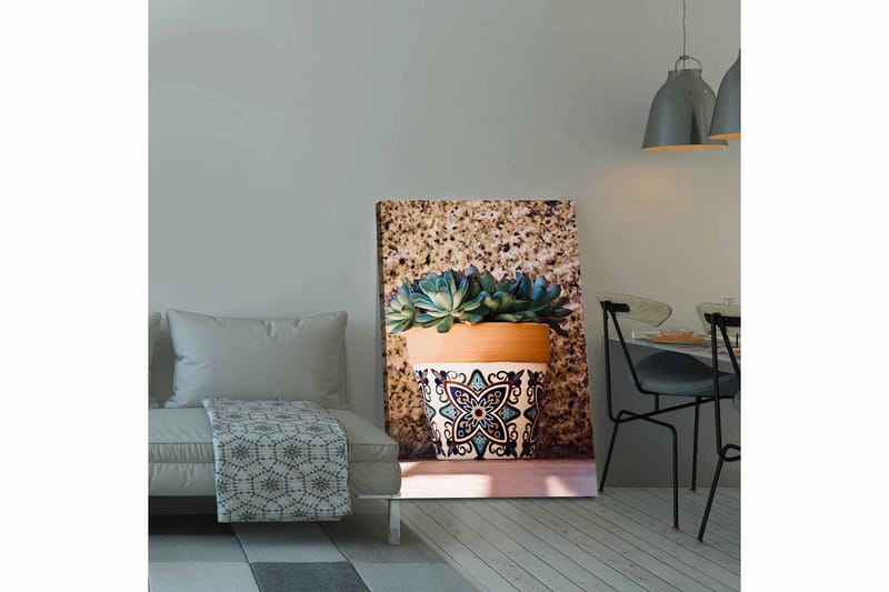 Lerretsbilde 70x100 cm - Potte med sukkulenter i dekorativt design, Grønn / Terrakotta / Svart