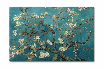 Lerretsbilde 70x45 cm - Blomstrende kvister mot turkis bakgrunn - Turkis / Hvit / Mørkegrønn - Interiør - Maleri & posters - Lerretsbilder
