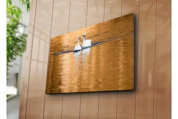 Lerretsbilde 70x45 cm - To svaner som svømmer i speilblanke, gylne vannflater - Hvit / Gull / Blå - Interiør - Maleri & posters - Lerretsbilder