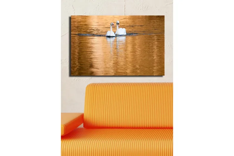 Lerretsbilde 70x45 cm - To svaner som svømmer i speilblanke, gylne vannflater - Hvit / Gull / Blå - Interiør - Maleri & posters - Lerretsbilder