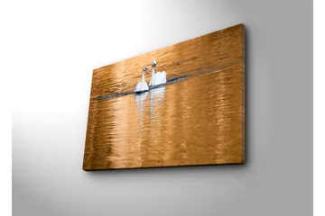 Lerretsbilde 70x45 cm - To svaner som svømmer i speilblanke, gylne vannflater - Hvit / Gull / Blå - Interiør - Maleri & posters - Lerretsbilder