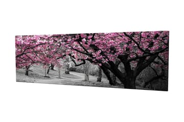 Lerretsbilde 80x30 cm - Blomstrende kirsebærtrær i svart-hvitt landskap - Rosa / Svart - Interiør - Maleri & posters - Lerretsbilder