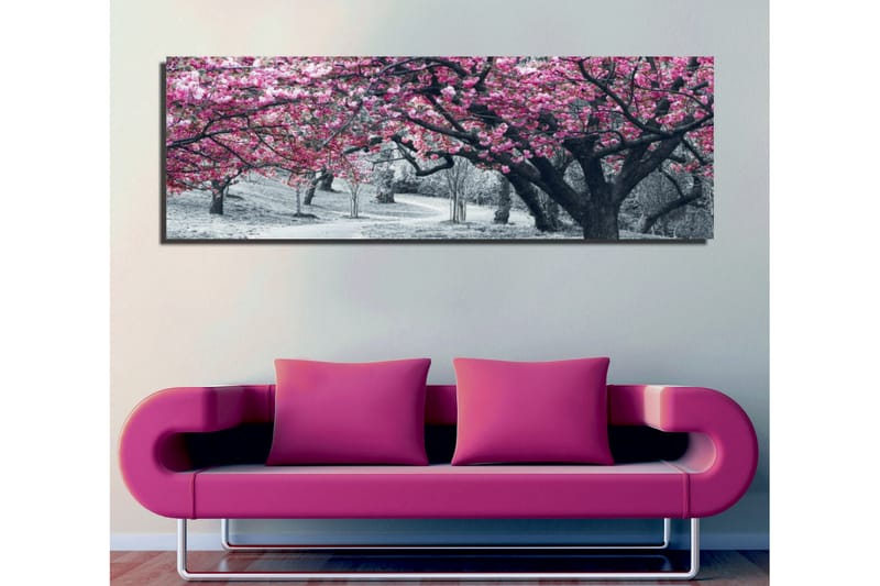 Lerretsbilde 80x30 cm - Blomstrende kirsebærtrær i svart-hvitt landskap - Rosa / Svart - Interiør - Maleri & posters - Lerretsbilder