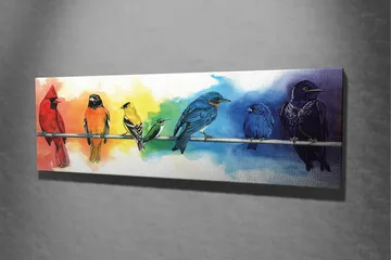 Lerretsbilde 80x30 cm - Fargerik samling av fugler på en gren - Rød / Blå / Gul - Interiør - Maleri & posters - Lerretsbilder